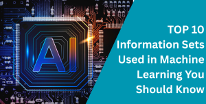 TOP 10 Information Sets Used in Machine Learning You Should Know